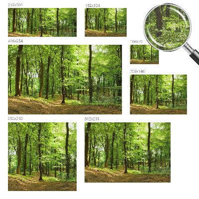 Billedtapet Billedtapet