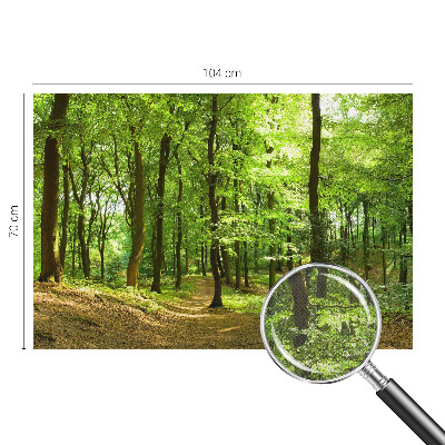 Billedtapet Billedtapet