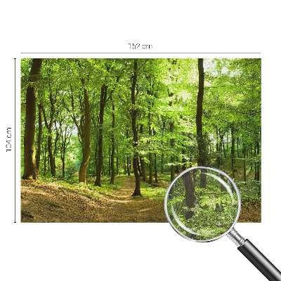 Billedtapet Billedtapet