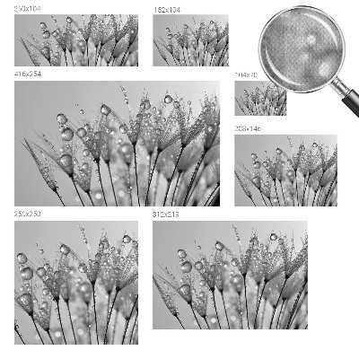 Mønstret tapet Mønstret tapet