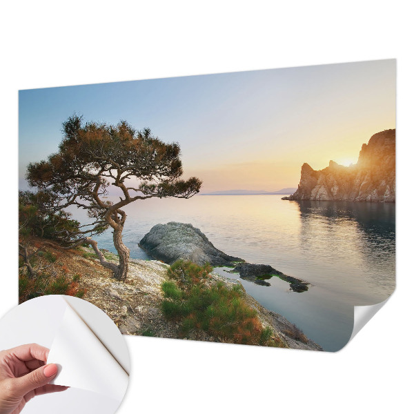 Tapet med mønster Tapet med mønster