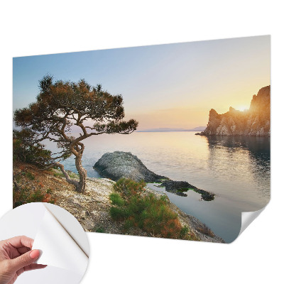 Tapet med mønster Tapet med mønster