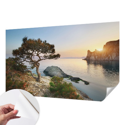 Tapet med mønster Tapet med mønster