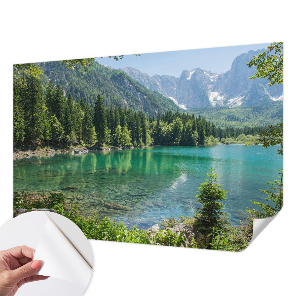 Billedtapet Billedtapet