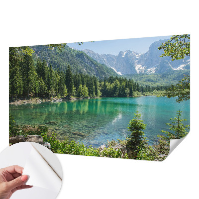 Billedtapet Billedtapet