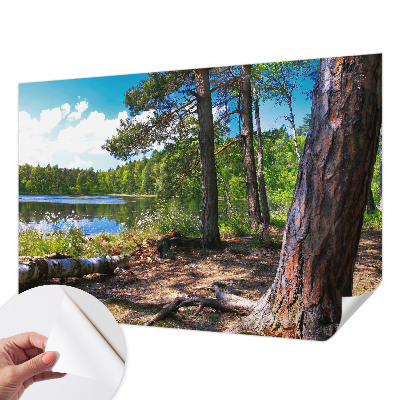 Tapet selvklæbende Tapet selvklæbende