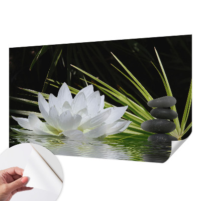 Retro tapet Retro tapet