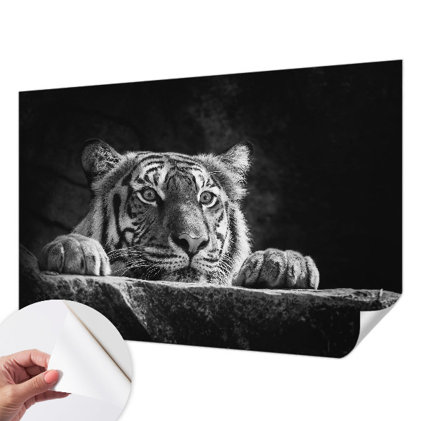 Vinyltapet Vinyltapet