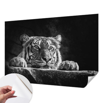 Vinyltapet Vinyltapet