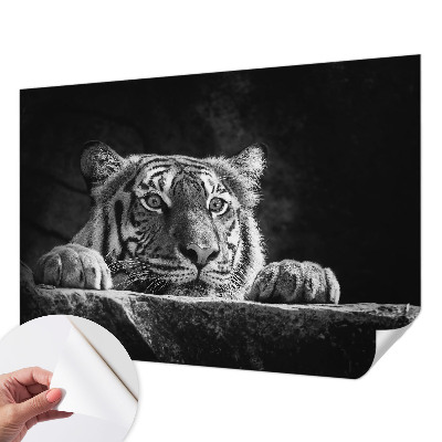 Vinyltapet Vinyltapet