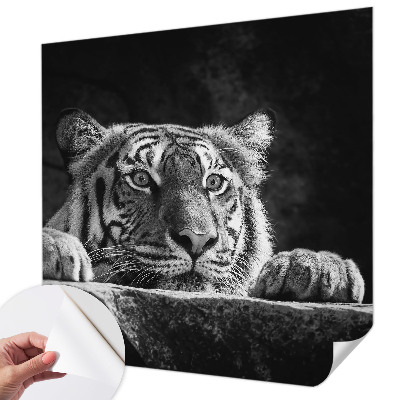 Vinyltapet Vinyltapet