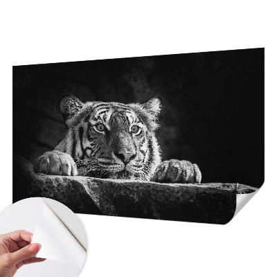 Vinyltapet Vinyltapet