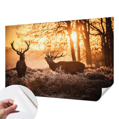 Tapet til børneværelse Tapet til børneværelse