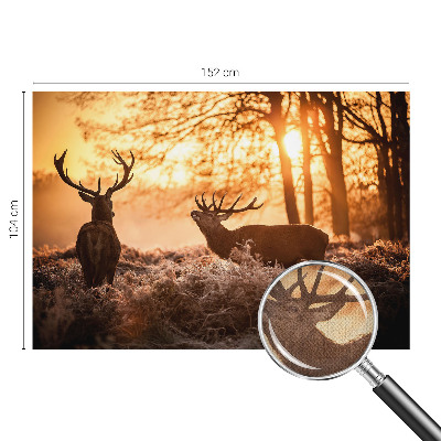 Tapet til børneværelse Tapet til børneværelse