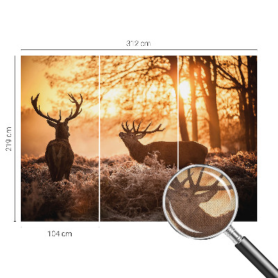 Tapet til børneværelse Tapet til børneværelse