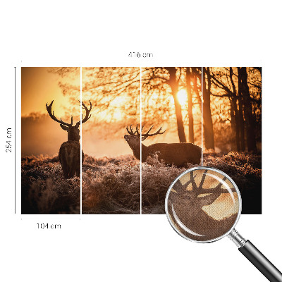 Tapet til børneværelse Tapet til børneværelse