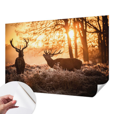 Tapet til børneværelse Tapet til børneværelse