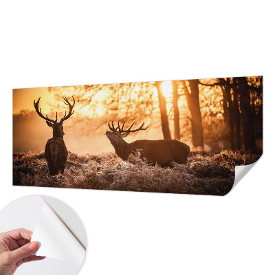 Tapet til børneværelse Tapet til børneværelse