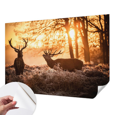 Tapet til børneværelse Tapet til børneværelse