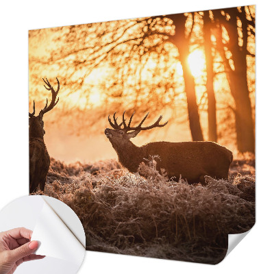 Tapet til børneværelse Tapet til børneværelse