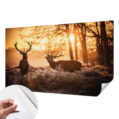 Tapet til børneværelse Tapet til børneværelse