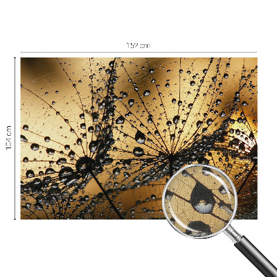 6D tapet i 3D-udgave