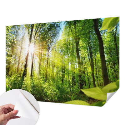 Tapet til børneværelse Tapet til børneværelse