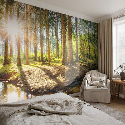 Fototapet børn med børnevenligt motiv til børneværelset
