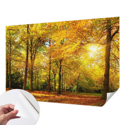 Retro tapet Retro tapet