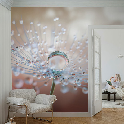 Tapet til soveværelset i tidløst design til værelser og soveværelser