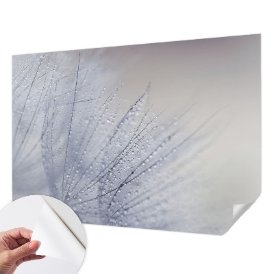 Selvklæbende tapet Selvklæbende tapet