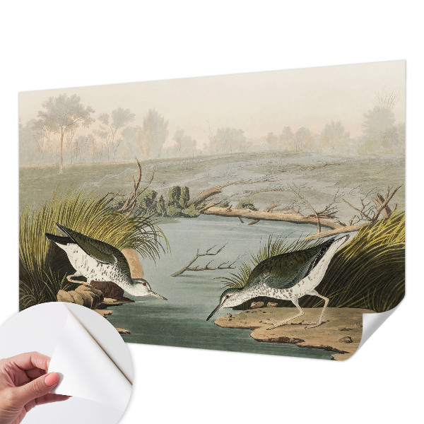 Vinyltapet Vinyltapet