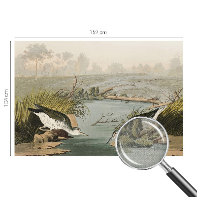 Vinyltapet Vinyltapet