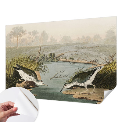 Vinyltapet Vinyltapet