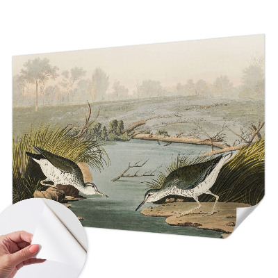 Vinyltapet Vinyltapet