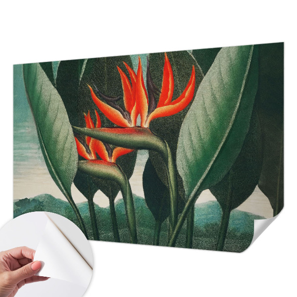 Tapet børneværelse Tapet børneværelse