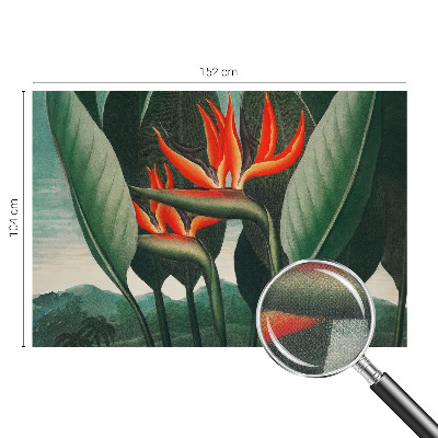 Tapet børneværelse Tapet børneværelse