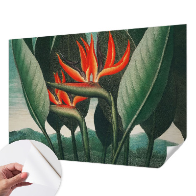 Tapet børneværelse Tapet børneværelse