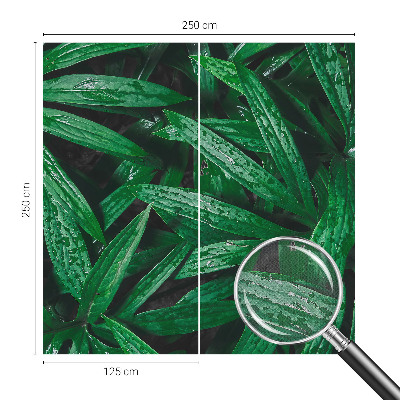 Tapet børneværelse Tapet børneværelse