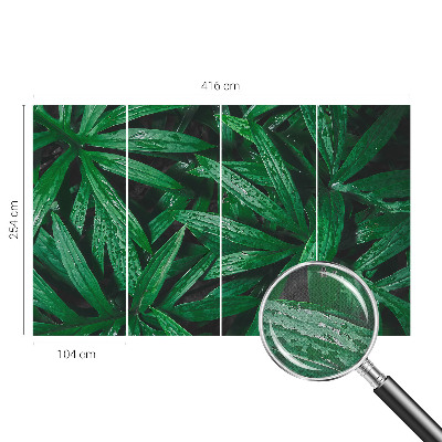 Tapet børneværelse Tapet børneværelse