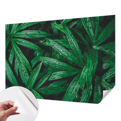 Tapet børneværelse Tapet børneværelse