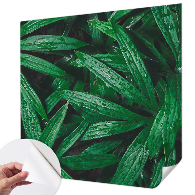 Tapet børneværelse Tapet børneværelse