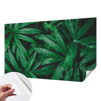 Tapet børneværelse Tapet børneværelse