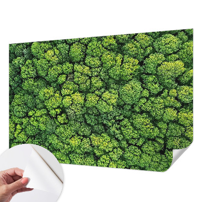 Selvklæbende vinyltapet Selvklæbende vinyltapet