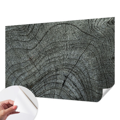 Billedtapet Billedtapet