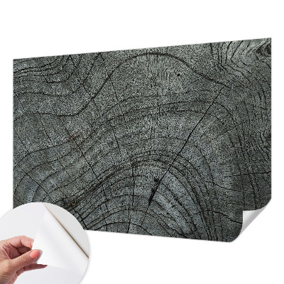 Billedtapet Billedtapet