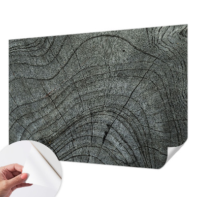 Billedtapet Billedtapet