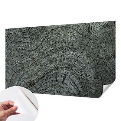 Billedtapet Billedtapet