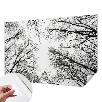 Mønstret tapet Mønstret tapet