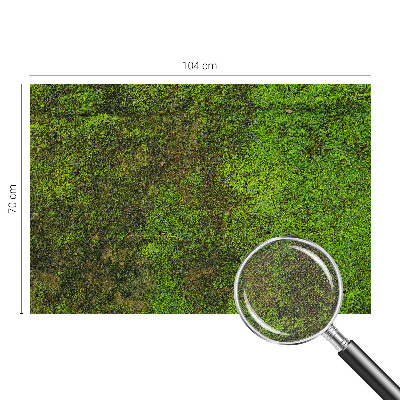 Fototapet børn Fototapet børn